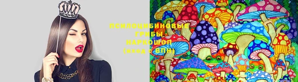 соль ск Алексин