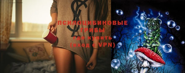бошки Алексеевка