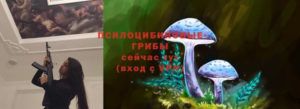 соль ск Алексин