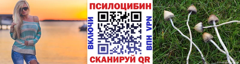 сколько стоит  Ардатов  KRAKEN ссылки  Галлюциногенные грибы Psilocybe 